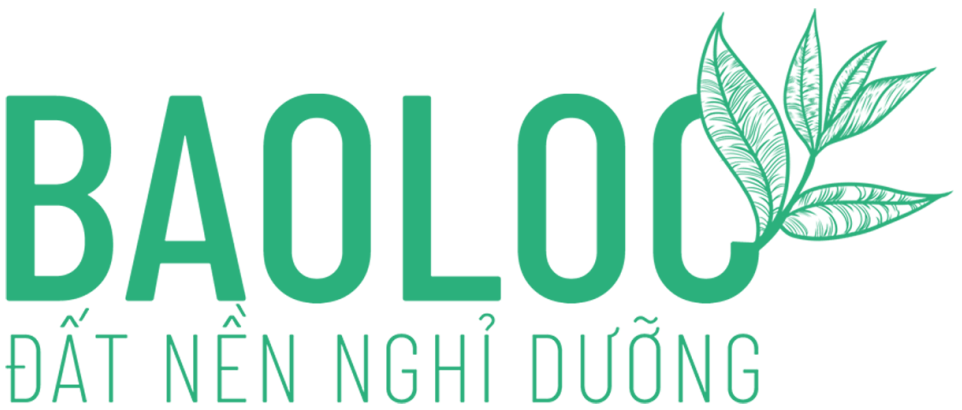 Website demo